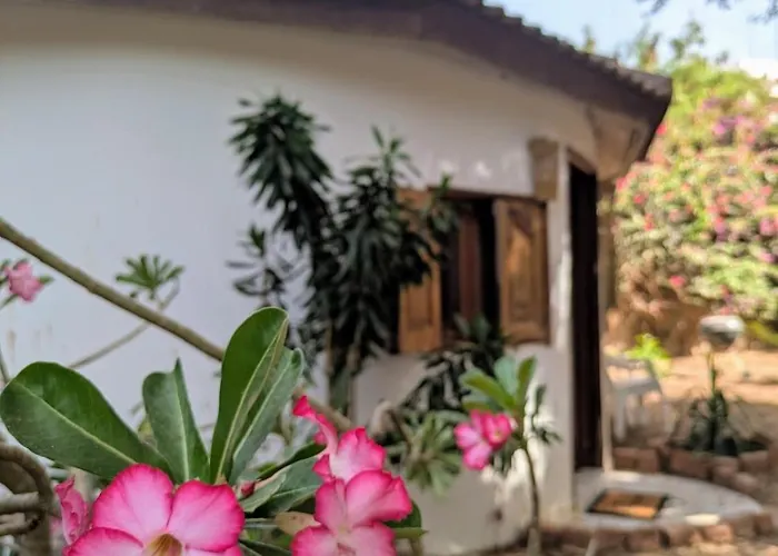 Chez Anais - Case Independante Dans Un Grand Jardin Avec Piscine